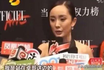 娱乐圈吃瓜会长,揭秘明星背后的故事与真相